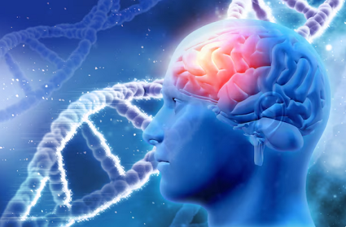 Best Neurosurgeon in Goregaon